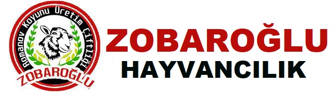 İrfan Boz tarafından kurulan Zobaroğlu Çiftliği, Dünyaca Ünlü Romanov Koyunları Yetiştiricisi  